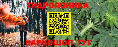 сатива Славгород