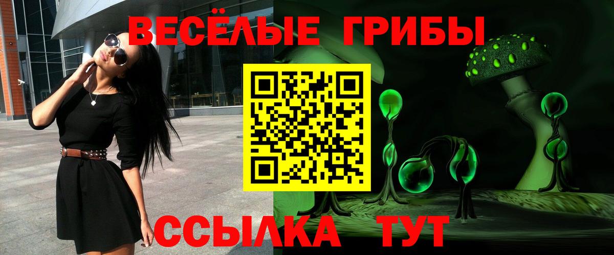 Псилоцибиновые грибы мицелий Хабаровск