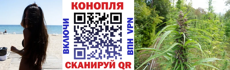 цена наркотик  Хабаровск  Конопля Bruce Banner 